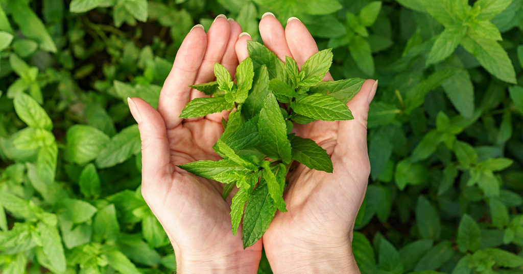 危険とされている成分