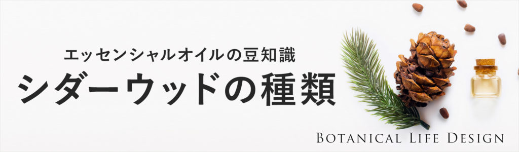 シダーウッドの種類